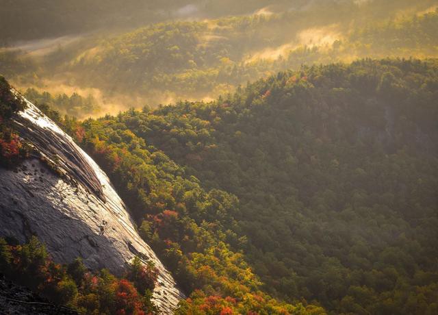 Vegetarijanski kruhki